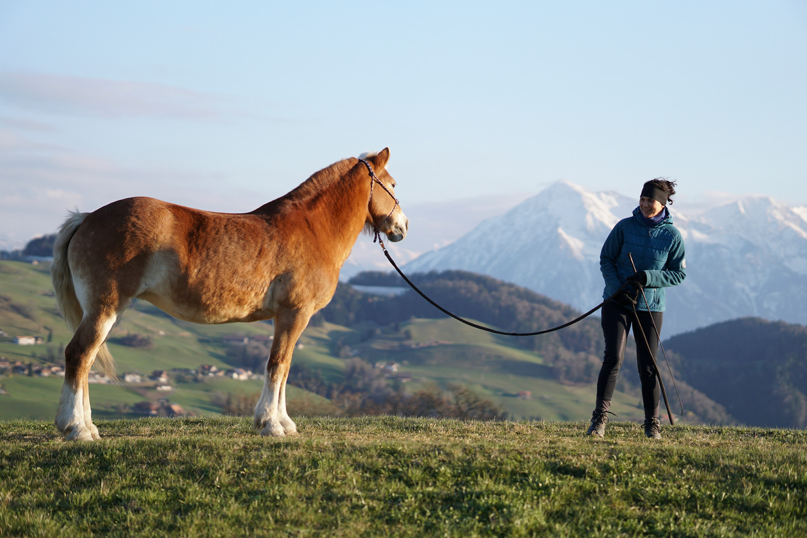Horse Leads - How To Choose Horse Leads for your Halter