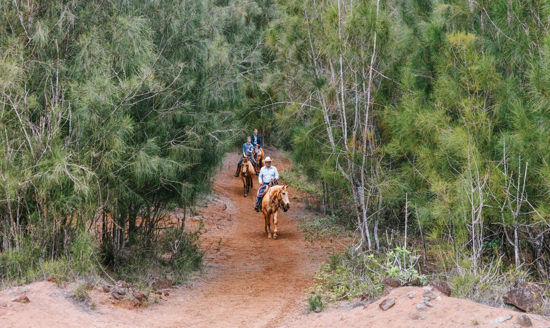 Horseback Riding National Parks of Hawaii