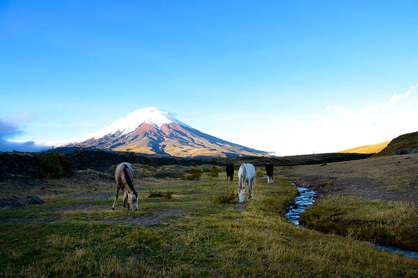 volcano-trail-on-horseback-around-cotapaxi-in-ecuador